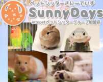 ペットシッター SunnyDays（朝霞・志木・和光）